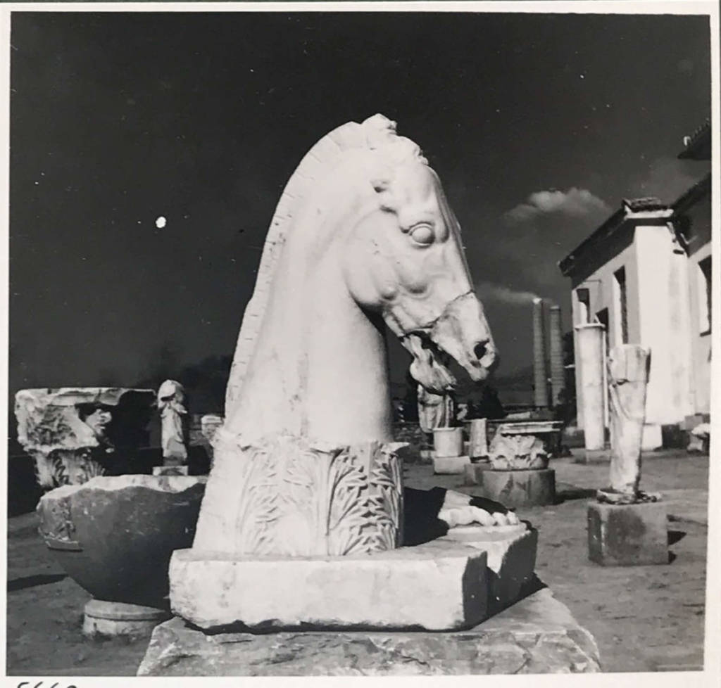 M29 ELEYSINA OMO MOYSEIO Foto Nikolaos Tompazis I ayli tou Mouseiou Eleysinas 9.9.1955 Mouseio Mpenaki Fotografika arxeia 1