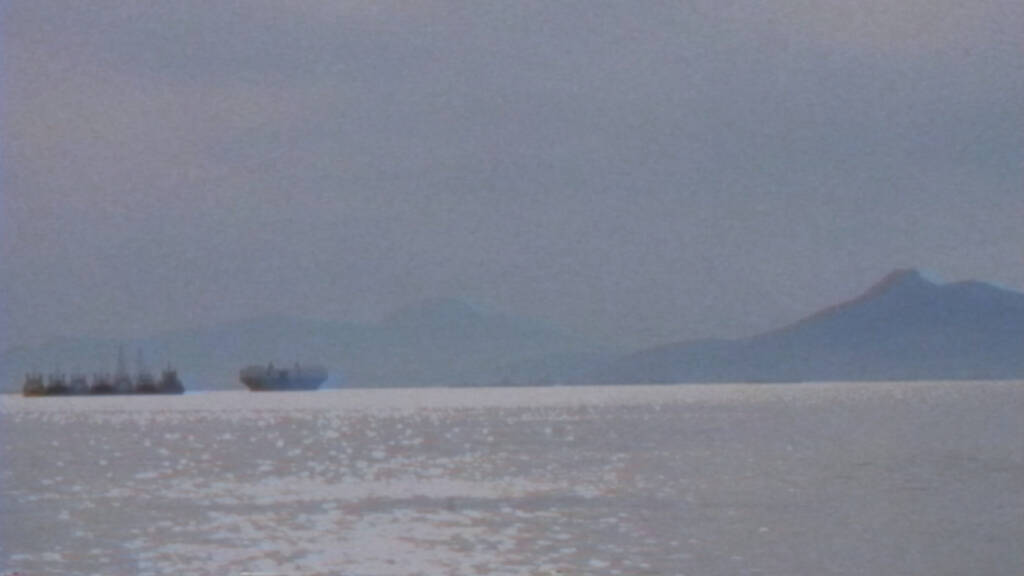 Chamomili Video Screenshot 5 1