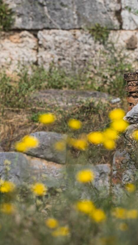 Μystery 20 Performing Arts Initiator – Narrative Archaeology