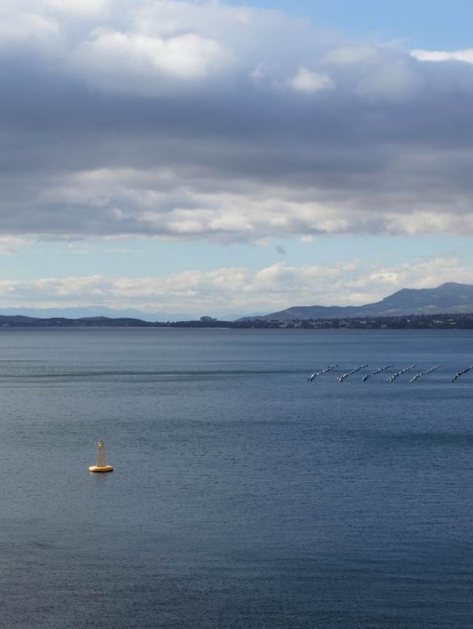 Gerasimos-Domenikos_FosPhotos_8783