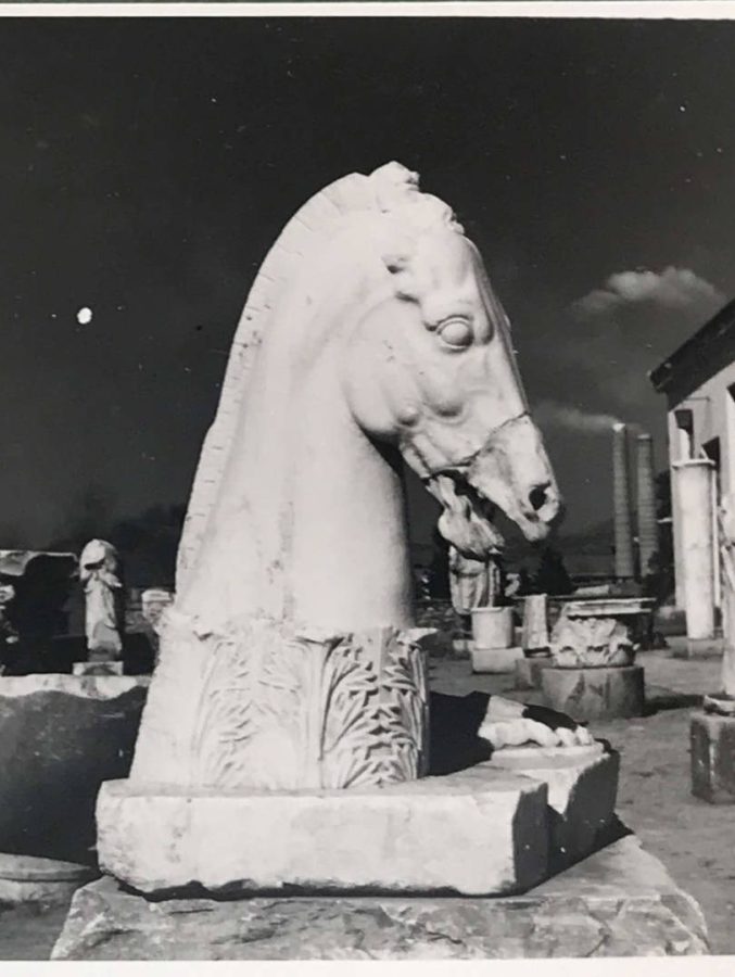 M29 ELEYSINA OMO MOYSEIO Foto Nikolaos Tompazis I ayli tou Mouseiou Eleysinas 9.9.1955 Mouseio Mpenaki Fotografika arxeia 1
