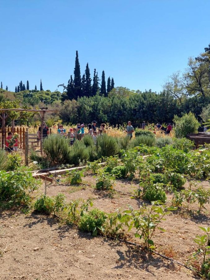 Open-Farm-Days_-Φωτό_Medculture-1